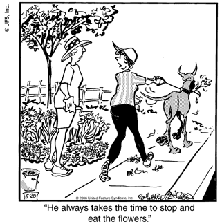 marmaduke